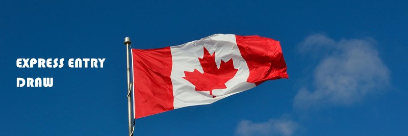 2024年加拿大联邦快速通道EE分数汇总 - 加拿大顺景移民
